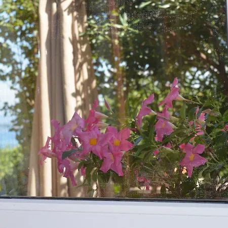 Apartman Ballabanka *