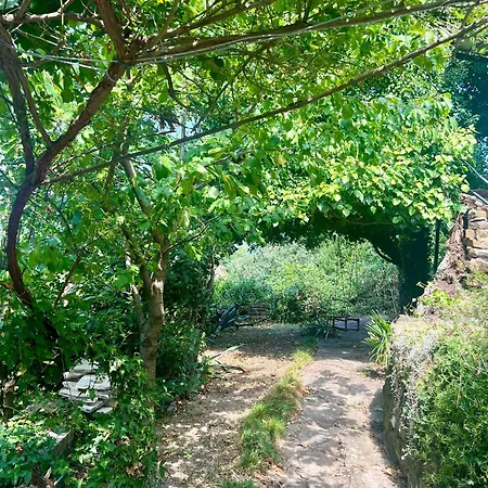 Ballabanka Appartamento *